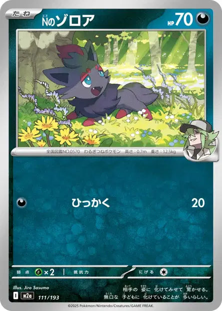 Zorua de N M2A 111/193