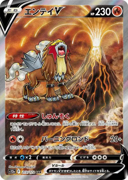 Entei-V SAR S12A 213/172