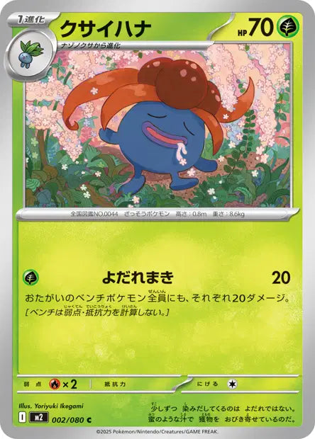 Ortide C M2 002/080