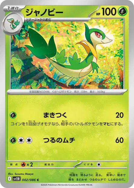 Lianaja C SV11B 002/086