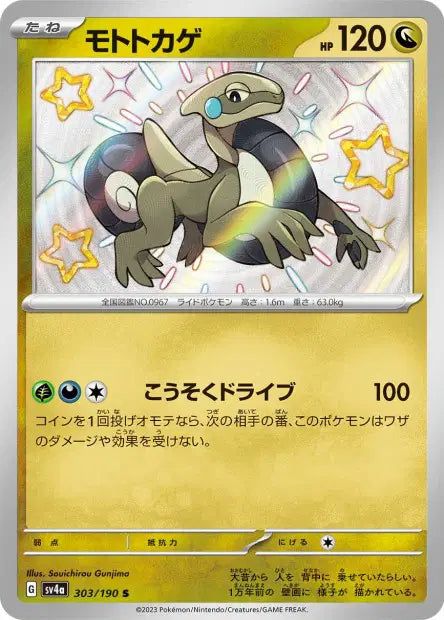 Motorizard S SV4A 303/190