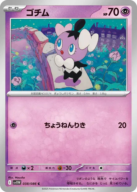 Scrutella C SV11W 038/086