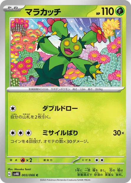 Maracachi C SV4K 003/066