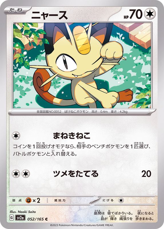 Miaouss C SV2A 052/165