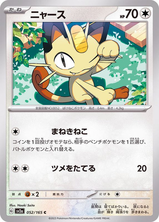 Miaouss C SV2A 052/165