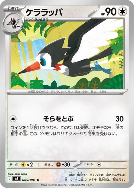 Piclairon C M5 065/081