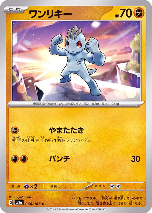 Machoc C SV2A 066/165