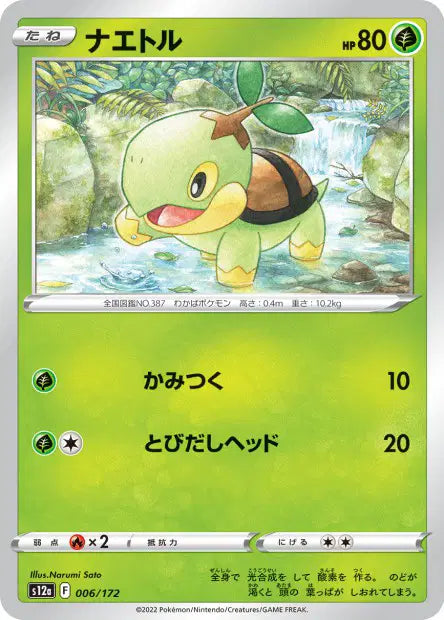 Tortipouss S12A 006/172