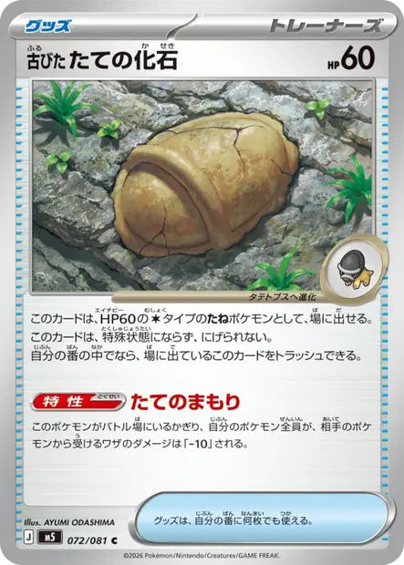 Antique Armor Fossil C M5 072/081