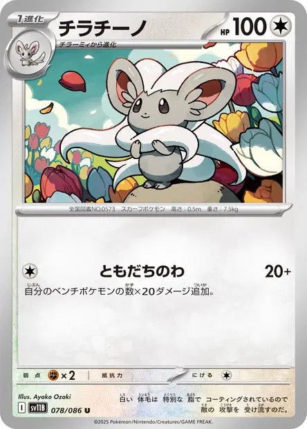 Pashmilla U SV11B 078/086