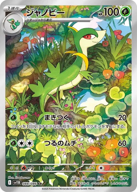 Lianaja AR SV11B 088/086