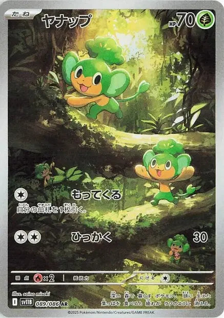 Feuillajou AR SV11B 089/086
