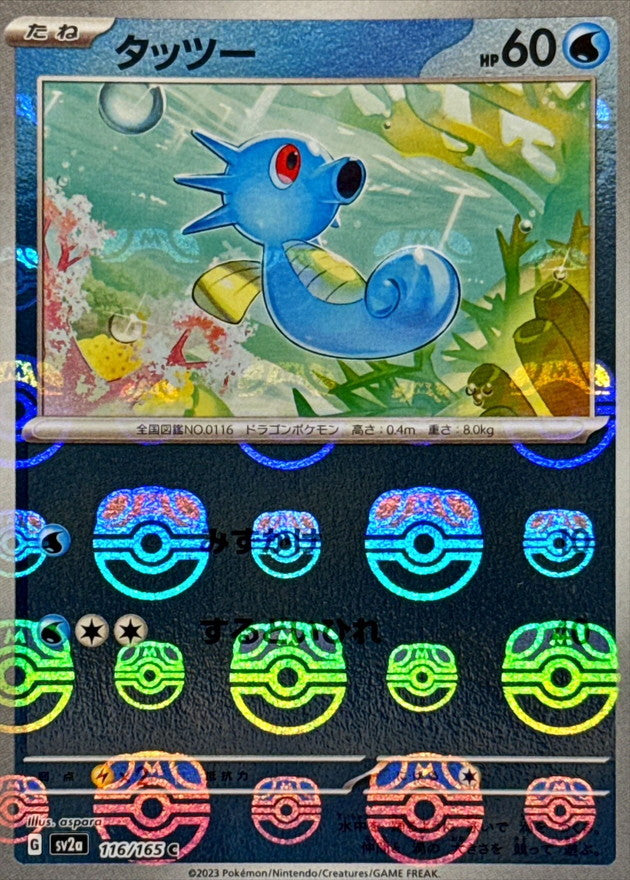 Hypotrempe C SV2A 116/165 MasterBall