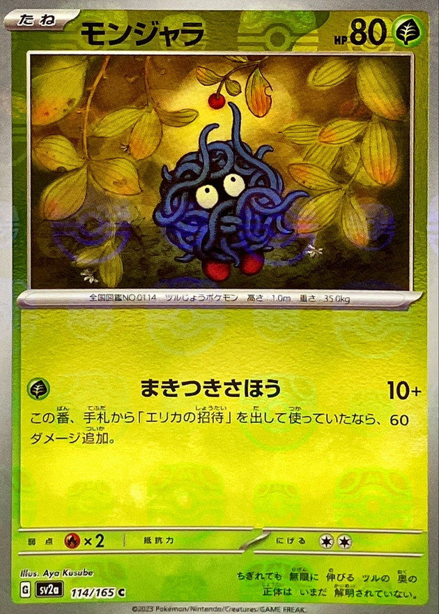 Saquedeneu C SV2A 114/165 MasterBall